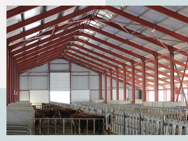 Строительство коровников в Невинномысске