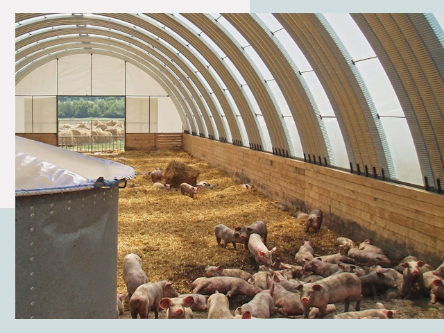 Строительство свинарников в Невинномысске