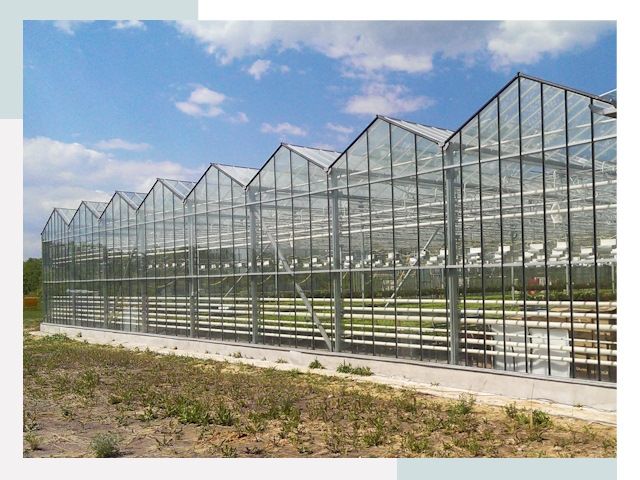 Строительство теплиц в Невинномысск от 614 руб. за м²